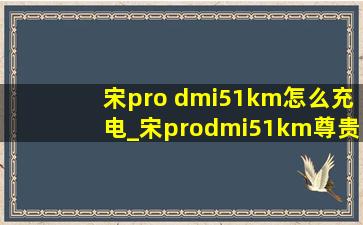 宋pro dmi51km怎么充电_宋prodmi51km尊贵版怎么充电